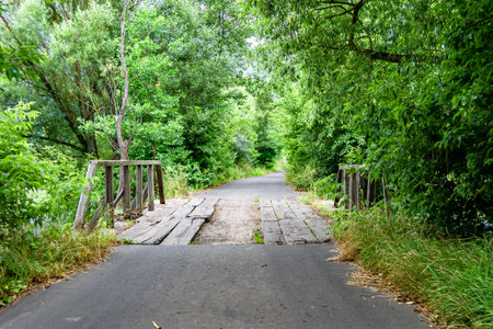 Beautifully standing old wooden bridge over river in colored background close up, photography consisting of old wooden bridge above river in foliage, old wooden bridge at river for natural wild parkの写真素材