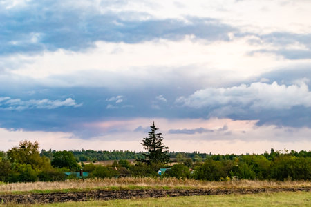 Beautiful horizon scenery in village meadow on color natural background, photography consisting of horizon scenery in meadow village at long sedge, horizon nature scenery in village meadow for animalの写真素材