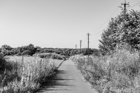 Beautiful empty asphalt road in countryside on colored background, photography consisting of new empty asphalt road passing through countryside, empty asphalt road for speed car in foliage countrysideの写真素材