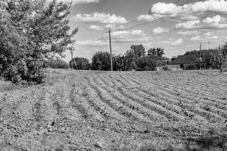 Photography on theme big empty farm field for organic harvest, photo consisting of large empty farm field for harvest on sky background, empty farm field for harvest this natural nature autumn seasonの写真素材