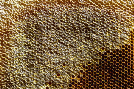 Drop of bee honey drip from hexagonal honeycombs filled with golden nectar, honeycombs summer...
