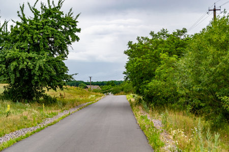 Beautiful empty asphalt road in countryside on colored background, photography consisting of new...
