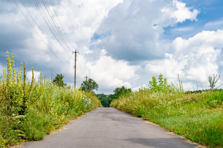 Beautiful empty asphalt road in countryside on colored background, photography consisting of new empty asphalt road passing through countryside, empty asphalt road for speed car in foliage countrysideの写真素材