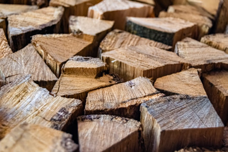 Photography on theme big wall of stacked oak tree logs in cracks, photo consisting of old oak tree...