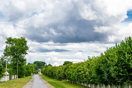 Beautiful empty asphalt road in countryside on colored background, photography consisting of new...
