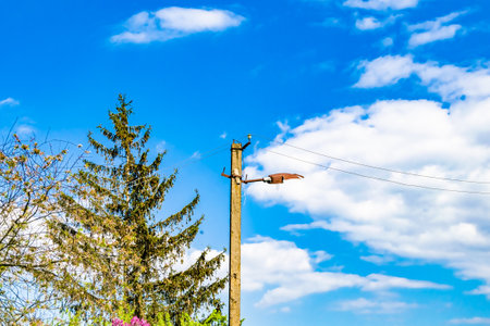 Power electric pole with line wire on colored background close up, photography consisting of power electric pole with line wire under sky, line wire in power electric pole for residential buildingsの写真素材