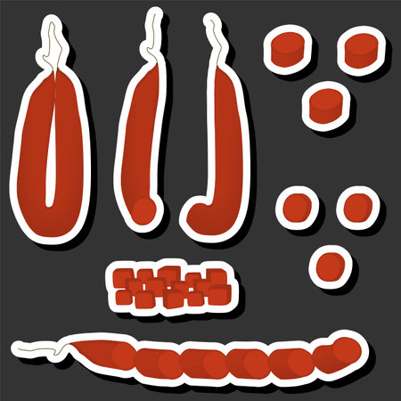 Illustration on theme big set different types delicatessen meat sausages, delicatessen consisting of collectible natural tasty food meat sausages, eat fresh delicatessen sausages from meat on healthのイラスト素材