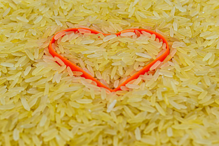 Many delicious summer rice grain on grocery market counter, tasty organic food consisting of fresh raw rice grain close up, beautiful texture ripe of natural rice grain on backgroundの写真素材