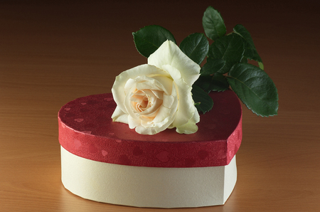 A white rose lies on the gift box on wooden table.の写真素材