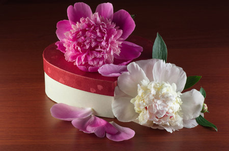 peonies and a box of heart lying on a dark tableの写真素材