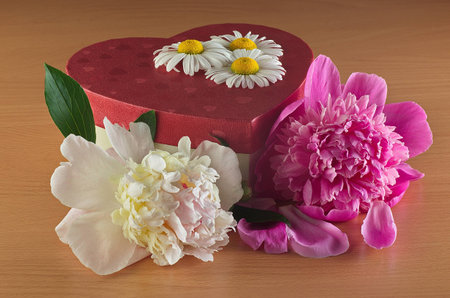 peonies, chamomile and a box of heart lying on a light tableの写真素材