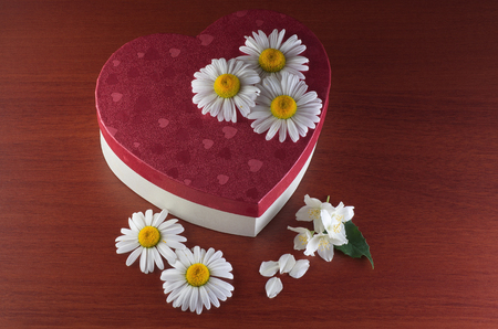 Jasmine, chamomile and gift box on dark wooden tableの写真素材