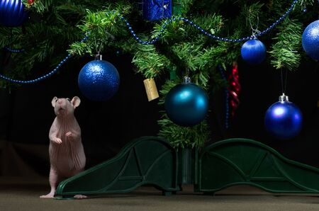 Decorative rat with toys and gifts at the Christmas tree.の写真素材