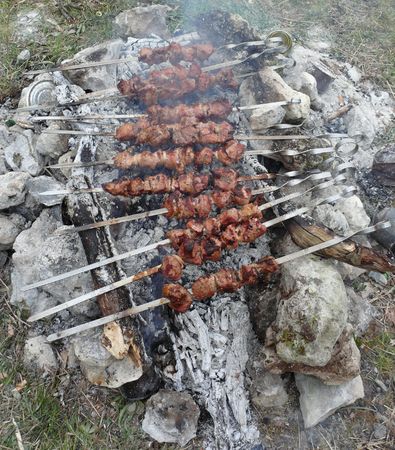 Preparation of a shish kebab on a fire in a wood の写真素材