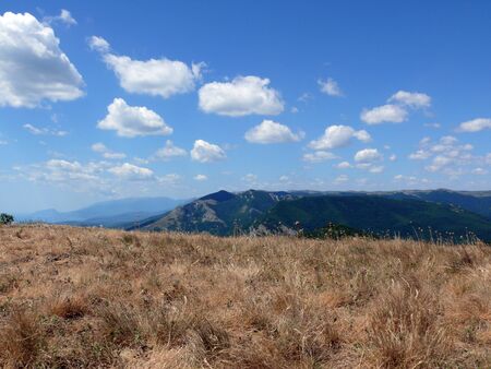 Fieldの写真素材