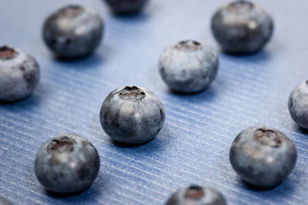 Group of whortleberries on a blue metallized textured paper background. Shallow depth of field / selective focus の写真素材