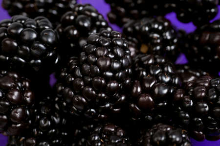 Group of blackberries in the glass bowl on a violet background. Selective focus. Macro shot.の写真素材