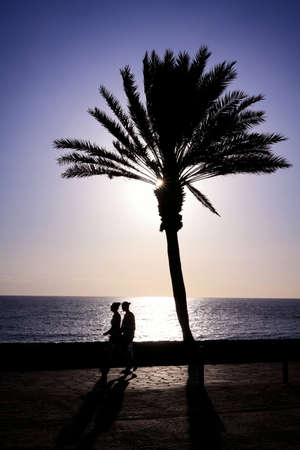 Low sun shines through a palm tree standing on an ocean front. A couple passing by.