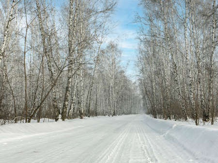 a road in a winter frosty forest of birch trees.Blue sky and white snowの写真素材