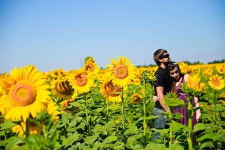 Young happy couple on the field. Shoot on the nature.の写真素材