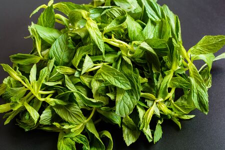 A bunch of fresh green mint on a black background. Close-up top view.の写真素材