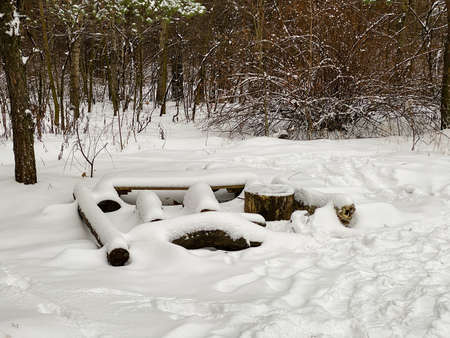 Photography of winter nature in a snowy forestの写真素材