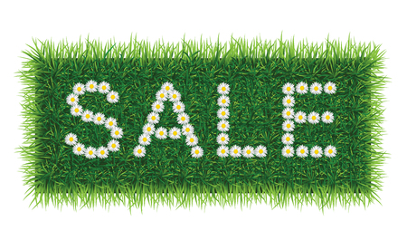 Vector SALE word of daisies on grass background.のイラスト素材