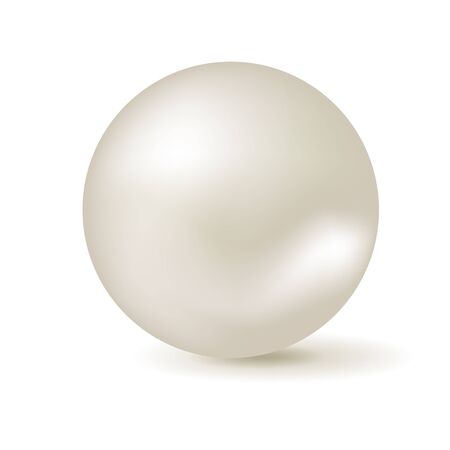Pearl isolated on white background. Vector realistic illustration.のイラスト素材