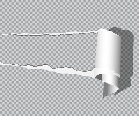 Vector realistic torn paper with shadow isolated on transparent background.のイラスト素材
