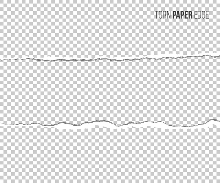 Torn paper edge with shadow isolated on transparent background. Vector design elementのイラスト素材