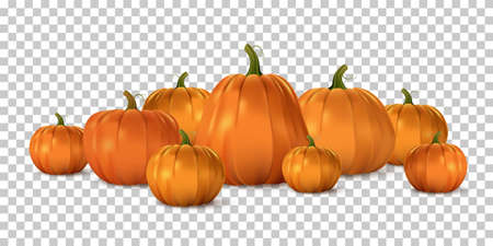 Halloween orange pumpkin set. Isolated traditional realistic food. October holiday decoration vector illustration. Autumn spooky decor for fun and celebration. Nature harvest in rowのイラスト素材