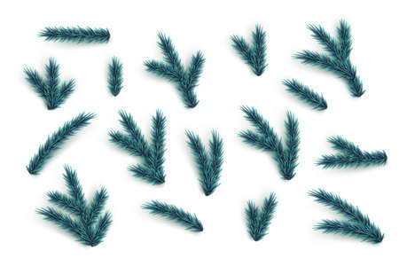 Fir tree branches and elements set. Vector blue Christmas tree parts collection.のイラスト素材