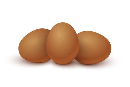 Three raw brown eggs set. Organic fresh food for breakfast vector illustration. Whole eggs ready for cooking and eating, yolk and protein inside, isolated on white backgroundのイラスト素材