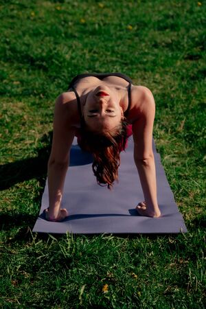 A girl in outdoor sportswear does an exercise for weight loss. Yoga, concept functional training using a rug at sunsetの写真素材