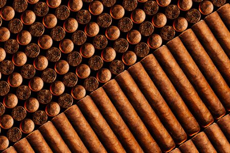 A vertical look of fresh hand-cooked new cigars.concept of a businessman's rich leisure.の写真素材