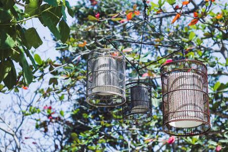 Decorative lamps at the tree on the beachの写真素材
