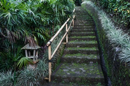 Old stone stairs covered with moss in the gardenの写真素材