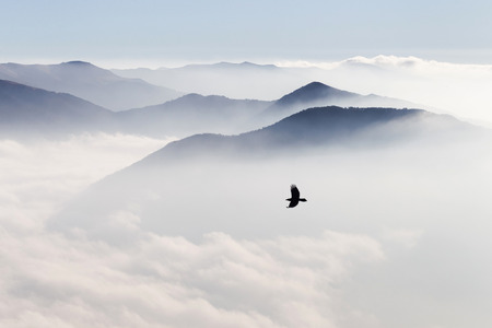 Silhouettes of mountains in the mist and bird flyingの写真素材