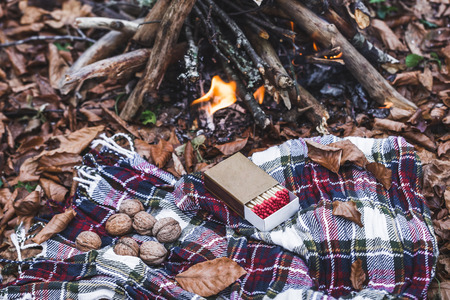 Rest at a fire in the forest
