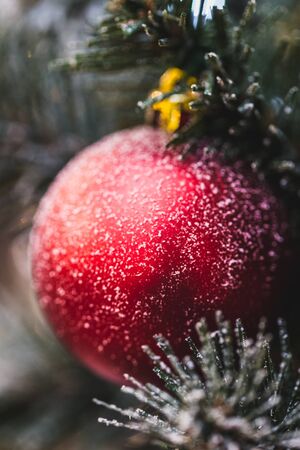 Beautiful New Year decorations, red shimmering ball in snow close-up on Christmas treeの写真素材