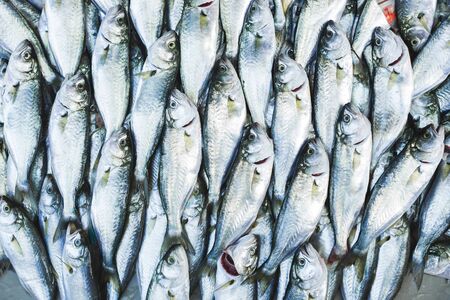 Fish background at the street marketの写真素材