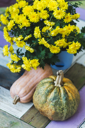 Interior design with pumpkins and yellow flowers. Halloween thanksgiving decoration.の写真素材