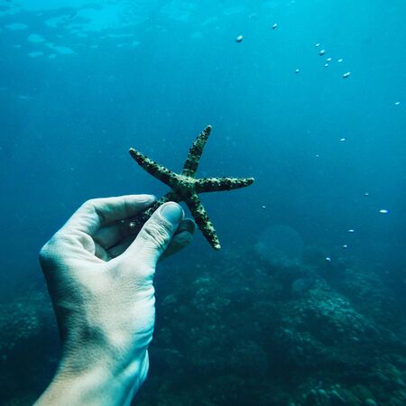 Hand holding starfish underwater. Diving at tropical island Baliの写真素材