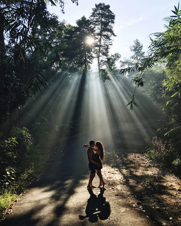 Silhouette of a kissing couple in morning sun rays through trees. Beautiful romantic light