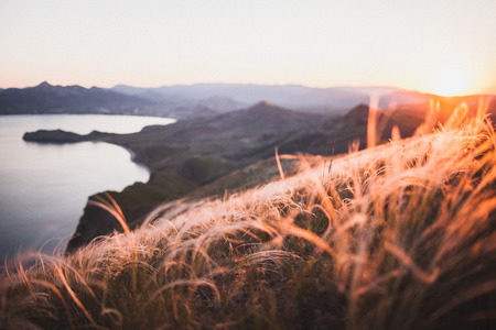 Sunset landscape overlooking the hilly coastal line in Crimea, Koktebel.Incredible spring field with feather grassの写真素材
