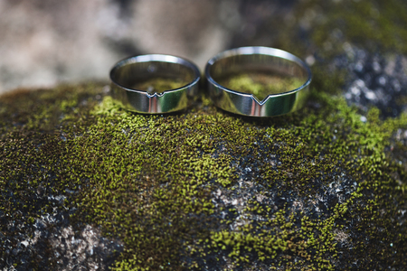 Two silver wedding rings closeup macro photo. On moss green textureの写真素材