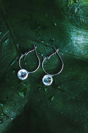 Silver earrings with white jewelry stone on green background of tropical leaf closeupの写真素材