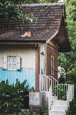Old cozy wooden house in russian style. Tile roof and white stairs. Window with shuttersの写真素材