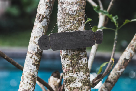 Empty wooden nameplate on tree. Vintage textured style and place for text, sign or logo. Eco and naturalの写真素材