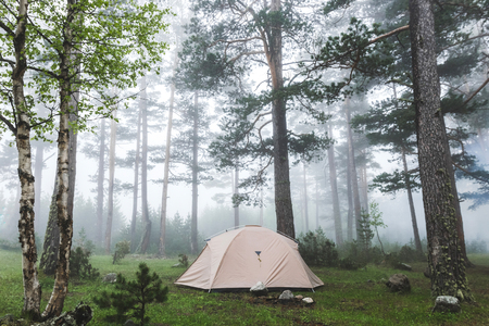Grey lightweight tent in foggy forest. Cold and wet misty weather in hike, overnight stay in campingの写真素材